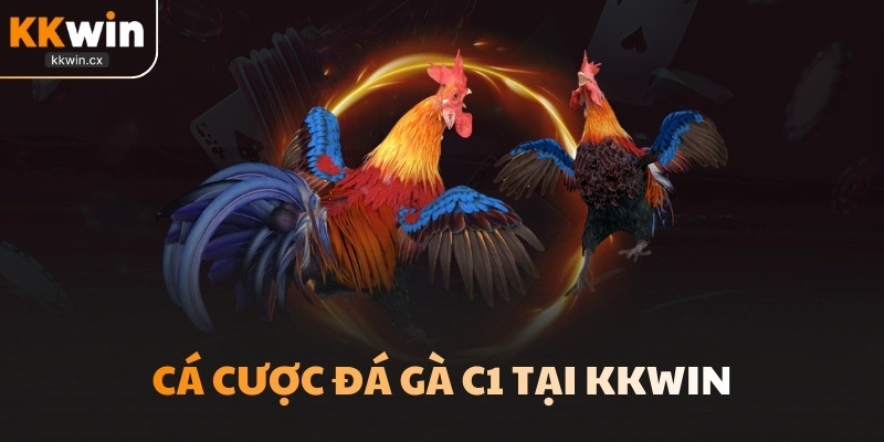 Cá cược đá gà C1 tại KKwin