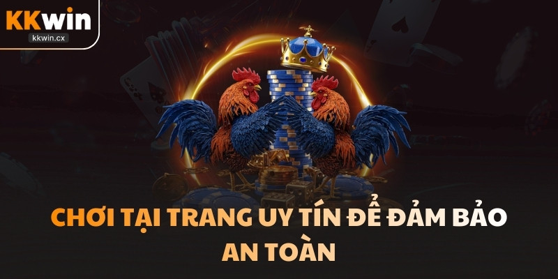 Nên tham gia đá gà C1 tại KKwin