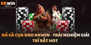 Đá Gà Cựa Dao KKwin - Trải Nghiệm Giải Trí Rất Hot