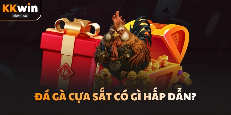 Đá gà cựa sắt có gì hấp dẫn?