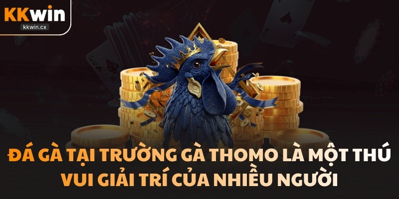 Đá gà tại Thomo đảm bảo tính chất lượng 