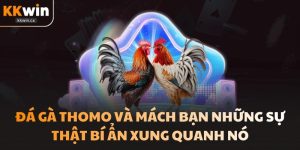 Đá Gà Thomo Và Mách Bạn Những Sự Thật Bí Ẩn Xung Quanh Nó