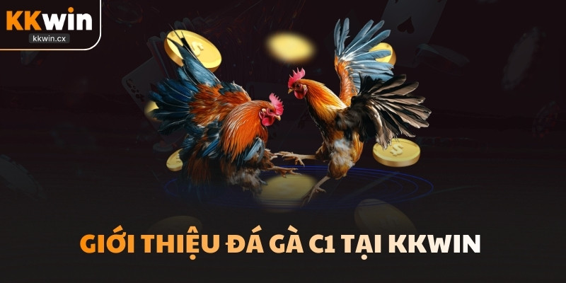 Giới thiệu đá gà C1 tại KKwin 