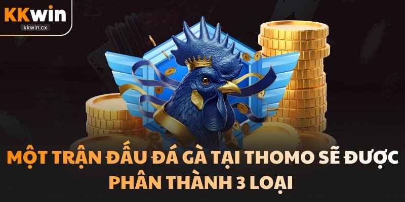Một trận đấu đá gà tại Thomo sẽ được phân thành 3 loại 