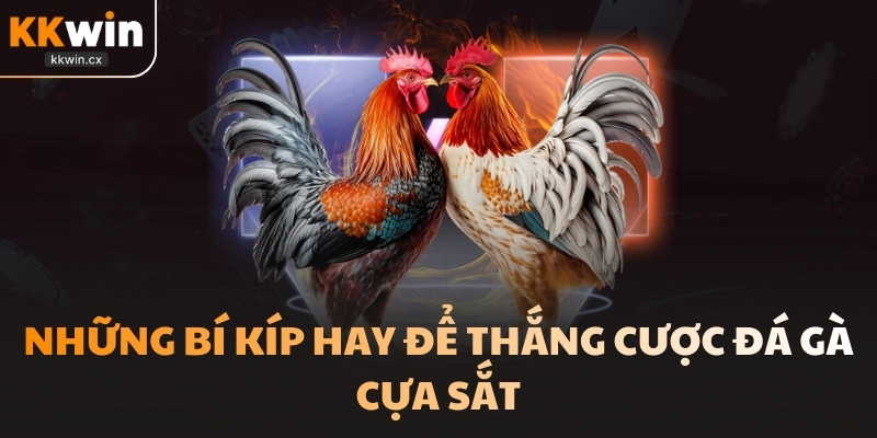 Những bí kíp hay để thắng cược 