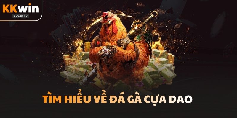 Tìm hiểu về đá gà cựa dao 